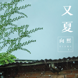 黄色视频男人舔女人下面
